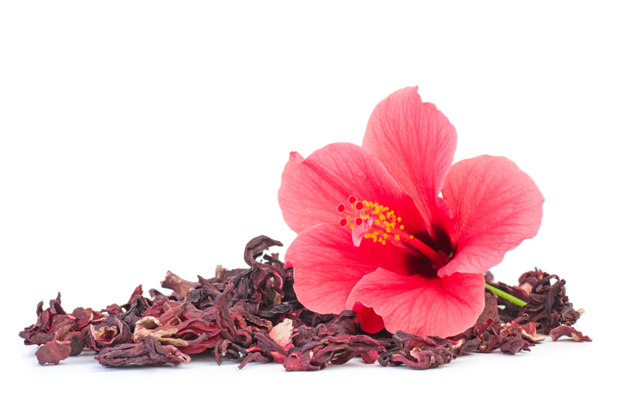 Hibiscus Tea | Buddha Teas