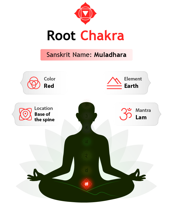 Root Chakra Facts